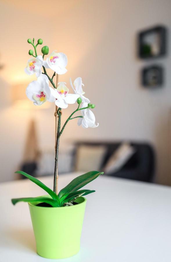 Le Duc De Vichy Apartment ภายนอก รูปภาพ